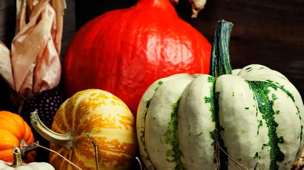 Pumpkin Seed Milk - Kuvings México