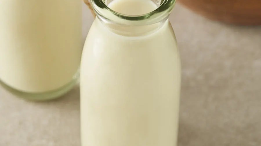 Leches de avena - Kuvings México