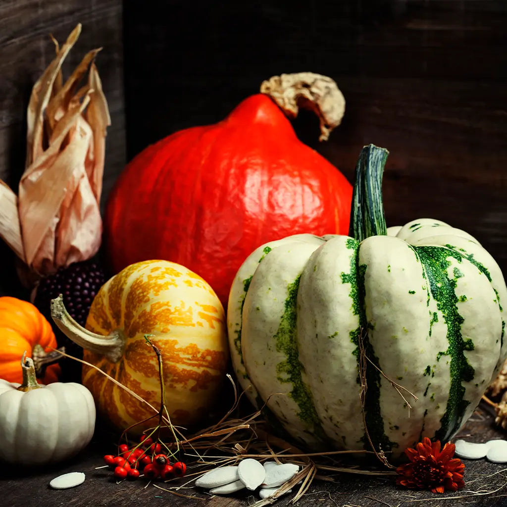 Pumpkin Seed Milk - Kuvings México