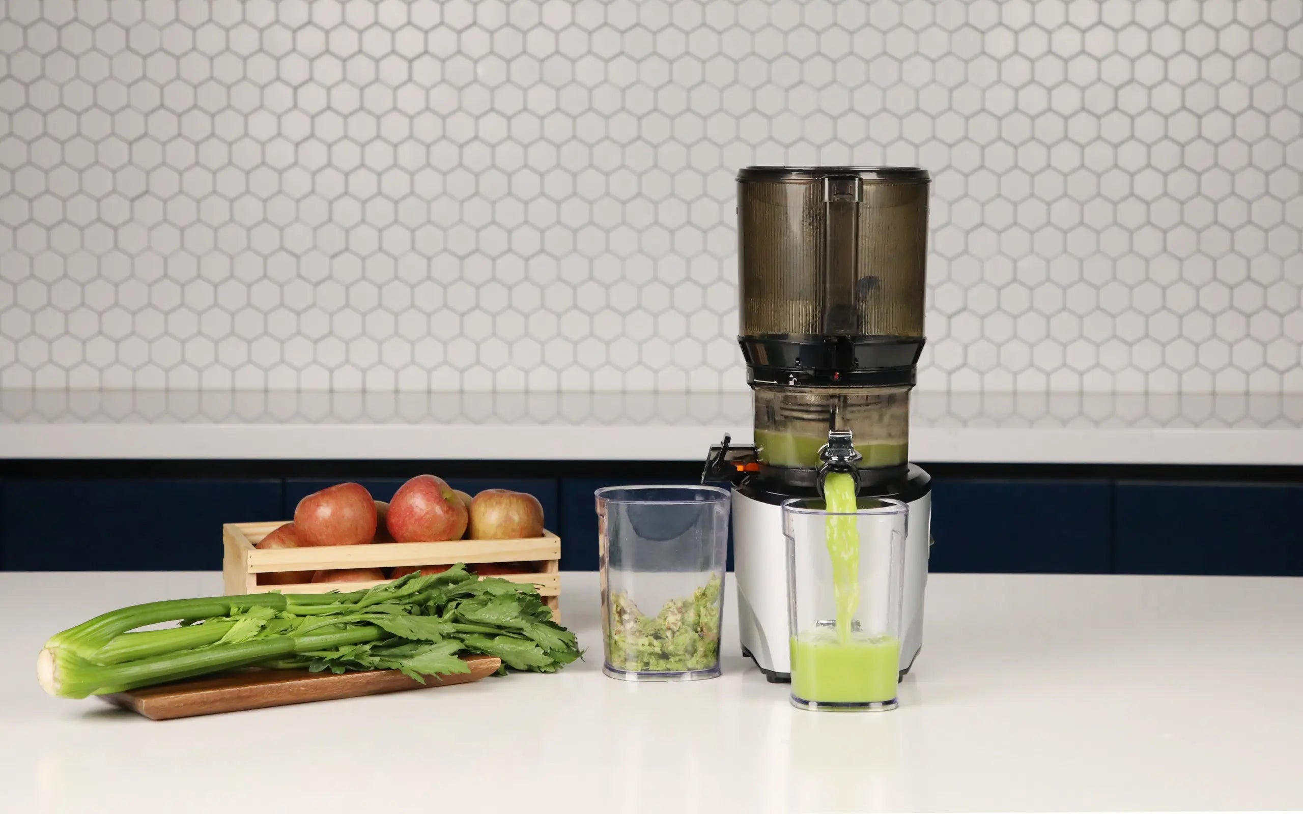 extractor de prensado frío