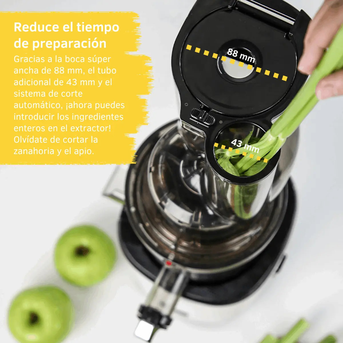 Kuvings REVO830 | Extractor de Jugo prensado en frío - Kuvings México