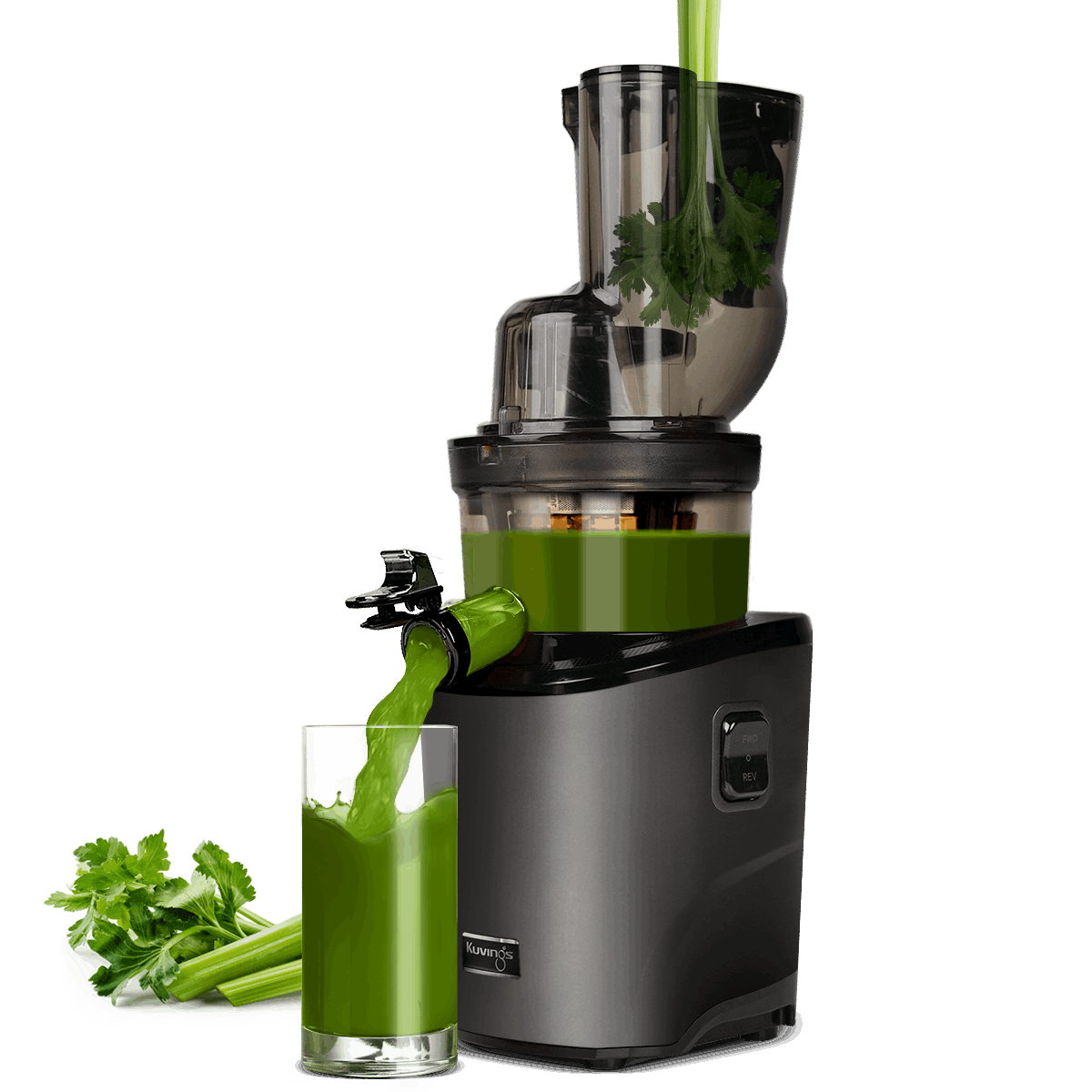 REVO830 | Extractor de Jugo Kuvings KUVINGS MÉXICO
